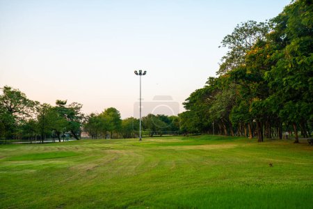 Téléchargez les photos : Beau champ vert avec des arbres dans le parc de la ville paysage coucher de soleil - en image libre de droit