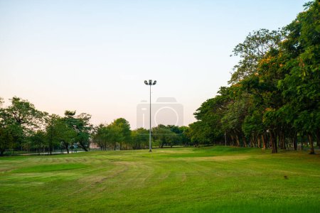 Téléchargez les photos : Beau champ vert avec des arbres dans le parc de la ville paysage coucher de soleil - en image libre de droit