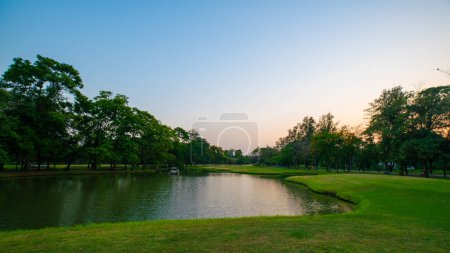 Téléchargez les photos : Parc vert au coucher du soleil avec prairie et arbres dans le parc public de la ville - en image libre de droit