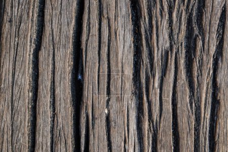 Photo for Brown wooden with vintage grunge texture wood background - Royalty Free Image