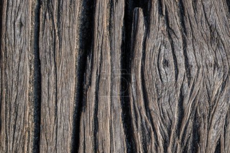 Photo for Brown wooden with vintage grunge texture wood background - Royalty Free Image