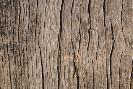 Foto de Madera marrón con textura grunge vintage fondo de madera - Imagen libre de derechos