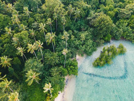 Photo for Aerial view sea beach wave white sand beach with green trees forest summer vacation background - Royalty Free Image
