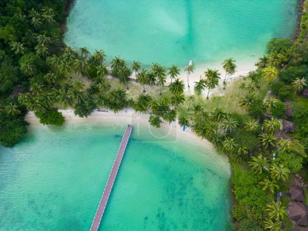 Téléchargez les photos : Vue aérienne mer plage vague sable blanc plage avec arbres verts forêt vacances d'été fond - en image libre de droit