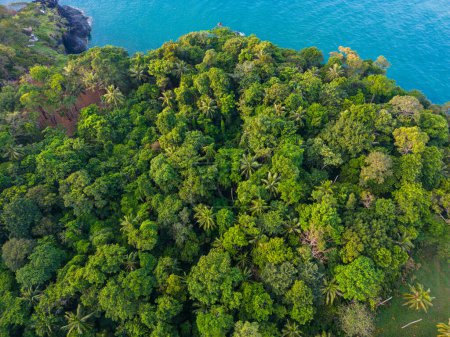Foto de Bosque tropical verde aéreo en isla marina sistema de ecología de reciclaje de carbono paisaje de la naturaleza abckground - Imagen libre de derechos