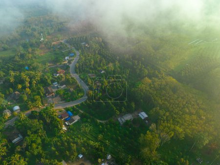 Téléchargez les photos : Vue aérienne route rurale forêt tropicale village matin lever de soleil nature transport - en image libre de droit
