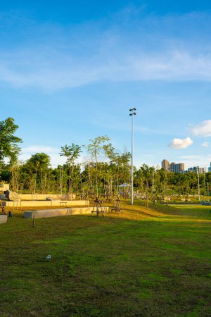 Foto de Prado hierba verde en la ciudad parque público céntrico ocio puesta del sol cielo con nube Bangkok Thaialnd - Imagen libre de derechos