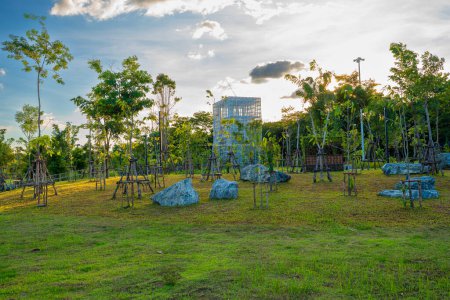 Foto de Prado hierba verde en la ciudad parque público céntrico ocio puesta del sol cielo con nube Bangkok Thaialnd - Imagen libre de derechos
