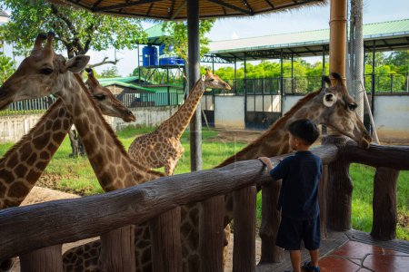 Photo for Asian kindergarten boy enjoying  with giraffe in zoo happy kid with animal - Royalty Free Image