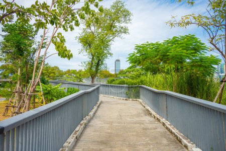 Téléchargez les photos : Promenade dans le parc public de la ville avec forêt tropicale arbre vert et immeuble de bureaux ciel nuage arrière-plan de la nature - en image libre de droit