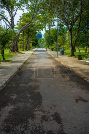 Photo for Walk way in city public park with green tree tropicalforest and office building sky cloud nature background - Royalty Free Image
