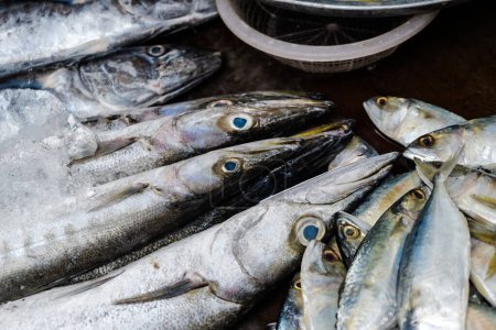Téléchargez les photos : Fruits de mer poisson frais dans l'industrie du marché - en image libre de droit