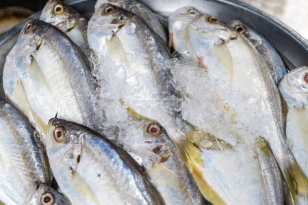 Téléchargez les photos : Fruits de mer poisson frais dans l'industrie du marché - en image libre de droit