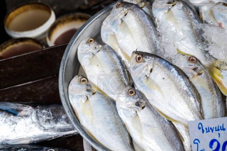 Foto de Alimentos de mar pescado fresco en la industria del mercado - Imagen libre de derechos