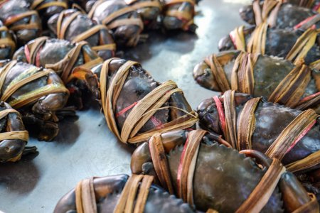 Téléchargez les photos : Vente de crabes de mer vivants frais sur le marché de la pêche fruits de mer - en image libre de droit