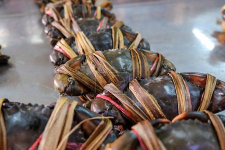 Photo for Fresh live sea crab sell in fisheries market seafood - Royalty Free Image