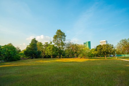 Téléchargez les photos : Herbe de prairie verte dans le parc public de la ville immeuble de bureaux ciel bleu arrière-plan nature - en image libre de droit