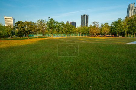 Foto de Verde prado hierba en la ciudad parque público oficina edificio azul cielo naturaleza fondo - Imagen libre de derechos