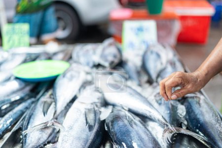 Téléchargez les photos : Les gens choisissent et achètent à la main du thon poisson de mer sur le marché traditionnel de la pêche - en image libre de droit