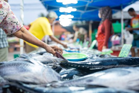 Photo for People hand choose and buy tuna seafood fish in traditional fishery market - Royalty Free Image