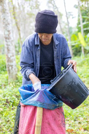 Foto de Mujer agrícola cultiva látex de caucho de la agroindustria de árboles - Imagen libre de derechos