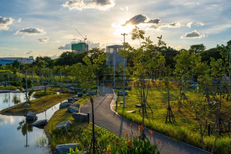 Téléchargez les photos : Sentier chaussée route asphaltée dans la ville vert arbre pak avec immeuble de bureaux coucher de soleil ciel nuage - en image libre de droit