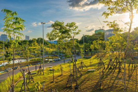Téléchargez les photos : Sentier chaussée route asphaltée dans la ville vert arbre pak avec immeuble de bureaux coucher de soleil ciel nuage - en image libre de droit