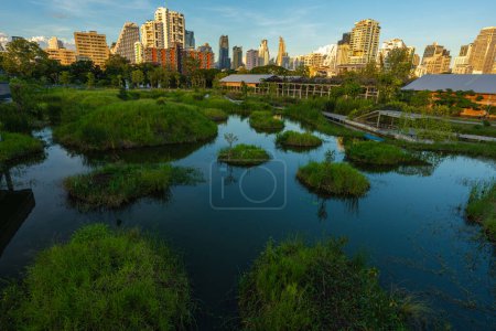 Photo for Tropical forest park swamp garden in city public park with office building Benchakitti park Bangkok Thailand - Royalty Free Image