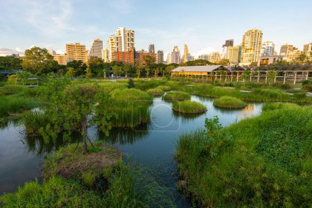 Foto de Jardín pantanoso del parque forestal tropical en el parque público de la ciudad con edificio de oficinas Benchakitti parque Bangkok Tailandia - Imagen libre de derechos