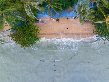 Photo for Aerial coconut palm tree on white sand beach turquoise sea water Samui island Thailand - Royalty Free Image