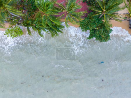Téléchargez les photos : Cocotier aérien sur plage de sable blanc eau de mer turquoise Samui île de Thaïlande - en image libre de droit