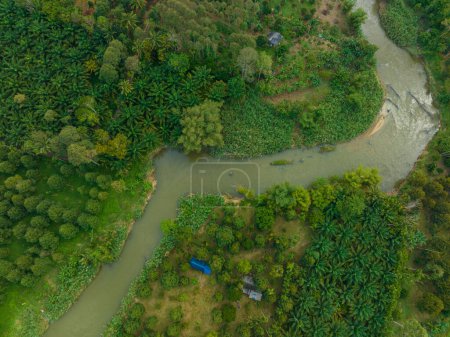 Téléchargez les photos : Vue aérienne forêt tropicale vert arbre écologie système avec rivière nature paysage - en image libre de droit