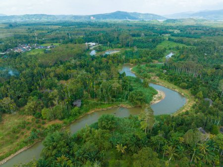 Téléchargez les photos : Vue aérienne forêt tropicale vert arbre écologie système avec rivière nature paysage - en image libre de droit
