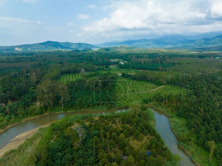 Foto de Vista aérea selva tropical sistema de ecología de árboles verdes con paisaje natural junto al río - Imagen libre de derechos