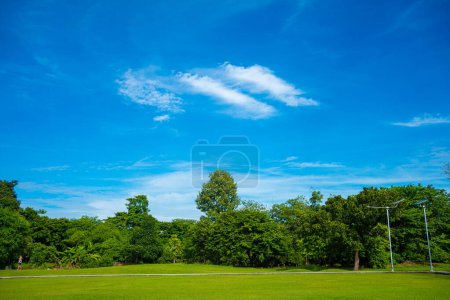 Foto de Campo de hierba verde prado en el parque forestal de la ciudad día soleado cielo azul con nubes naturaleza paisaje - Imagen libre de derechos