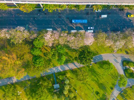 Photo for Aerial view pink sakura flower blossom on city road Chatuchak public park with transport road Bangkok Thailand - Royalty Free Image
