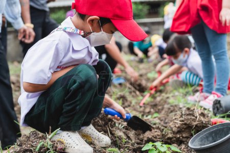 Photo for Kindergarten boy plantation seed on soil outdoor activity happy boy nature learnning - Royalty Free Image