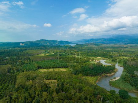 Photo for Aerial view tropical rainforest green tree ecology system with riverside nature landscape - Royalty Free Image