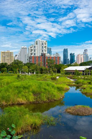 Cityscape of modern office building with tropical rainforest blue sky with clouds, Benchakitti city park, Bangkok Thailand