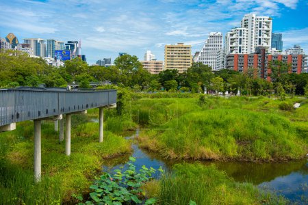 Téléchargez les photos : Paysage urbain d'immeuble de bureaux moderne avec forêt tropicale ciel bleu avec nuages, Benchakitti city park, Bangkok Thaïlande - en image libre de droit
