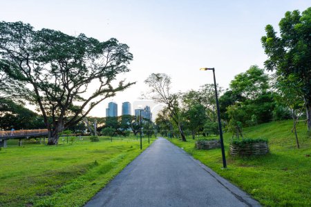 Foto de Parque verde de la ciudad con puesta de sol cielo azul, sendero y hermosos árboles, pista de atletismo - Imagen libre de derechos
