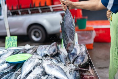 Téléchargez les photos : Fruits de mer frais variété poisson vendre sur le marché asiatique traditionnel Thaïlande - en image libre de droit