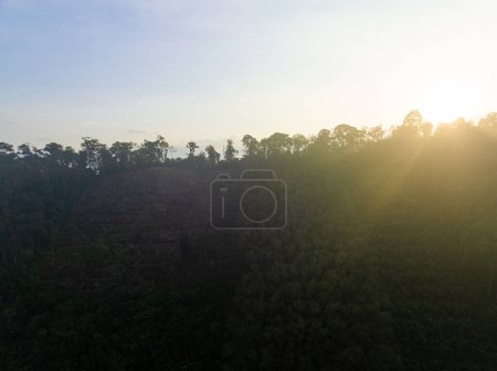 Téléchargez les photos : Aérien montagne pic lever de soleil tropical forêt tropicale ciel avec nuage nature paysage - en image libre de droit
