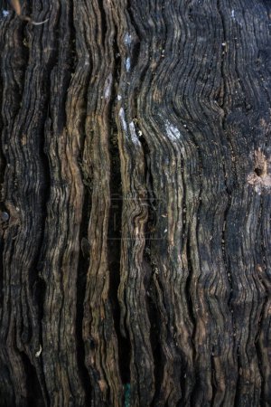 Foto de Textura de madera viejo grunge fondo decorar - Imagen libre de derechos
