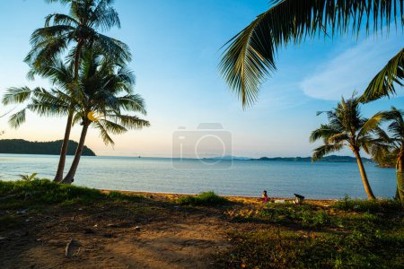 Photo for Sunset through tropical green tree forest on island sea beach nature landscape - Royalty Free Image