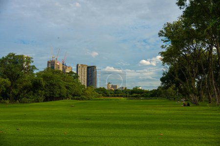 Photo for City public park meadow green grass with city building sky cloud cityscape - Royalty Free Image