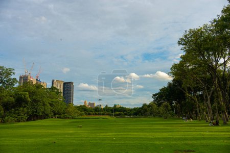 Photo for City public park meadow green grass with city building sky cloud cityscape - Royalty Free Image
