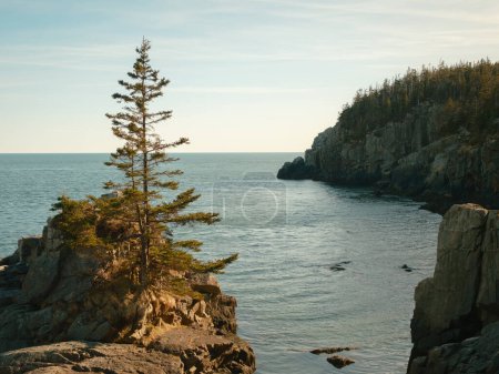 Cliffs at Quoddy Head State Park, Lubec, Maine