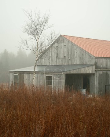 Eine Scheune im Nebel auf Beals Island, Maine