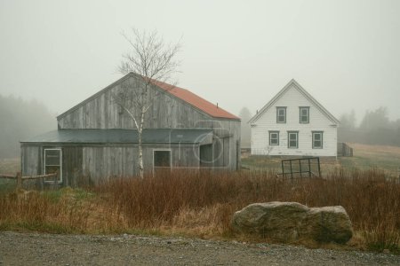 Eine neblige Szene auf Beals Island, Maine
